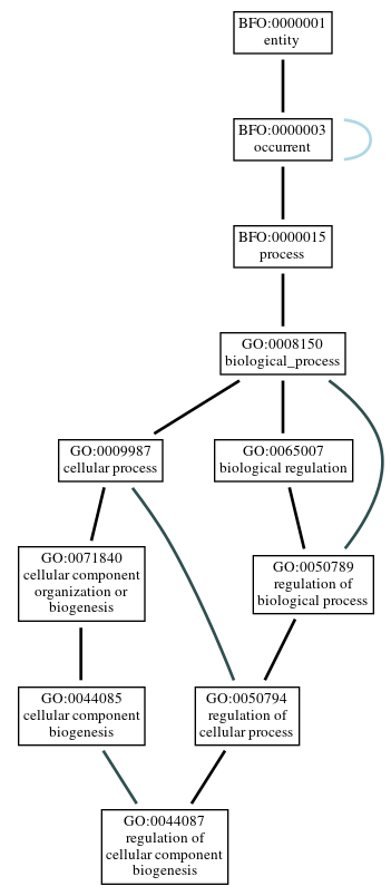 Graph of GO:0044087