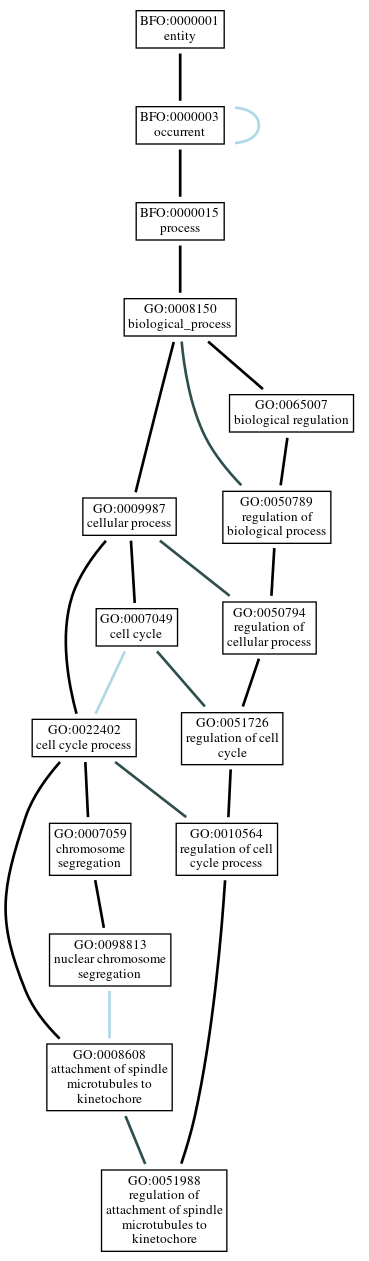 Graph of GO:0051988