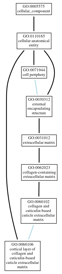Graph of GO:0060106