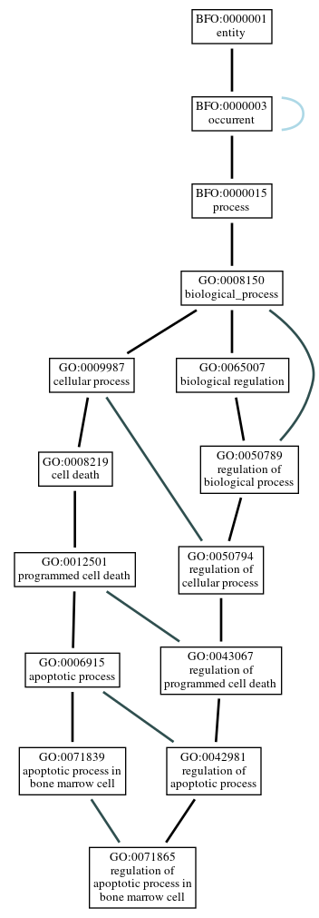 Graph of GO:0071865