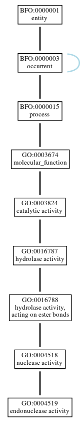 Graph of GO:0004519