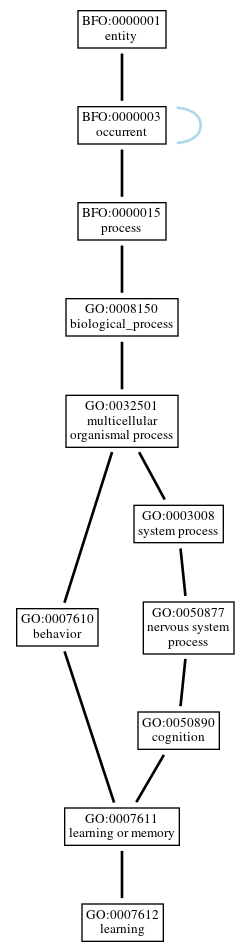 Graph of GO:0007612