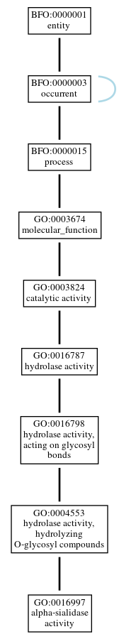 Graph of GO:0016997