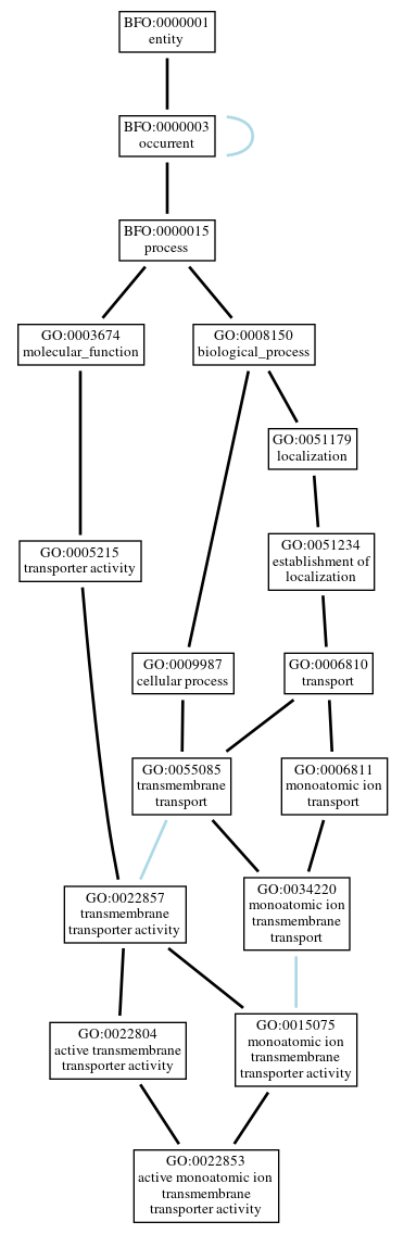 Graph of GO:0022853