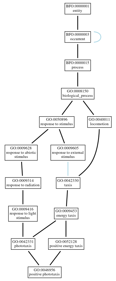 Graph of GO:0046956
