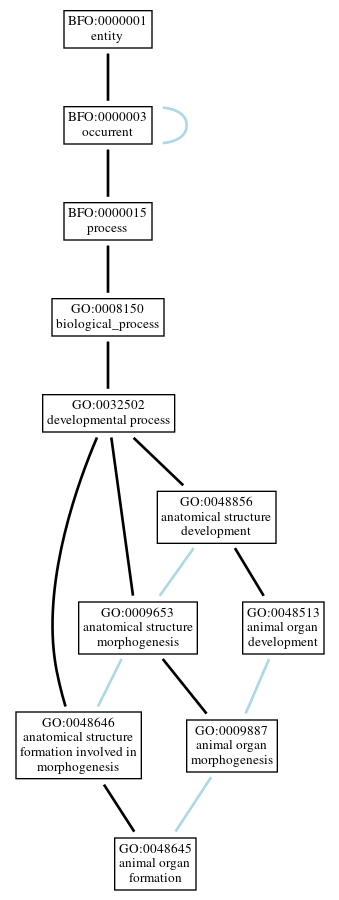 Graph of GO:0048645