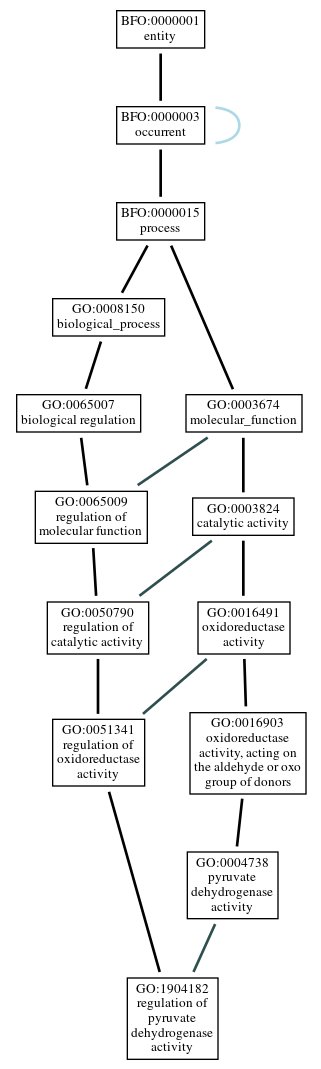 Graph of GO:1904182