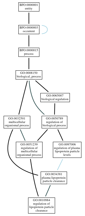 Graph of GO:0010984