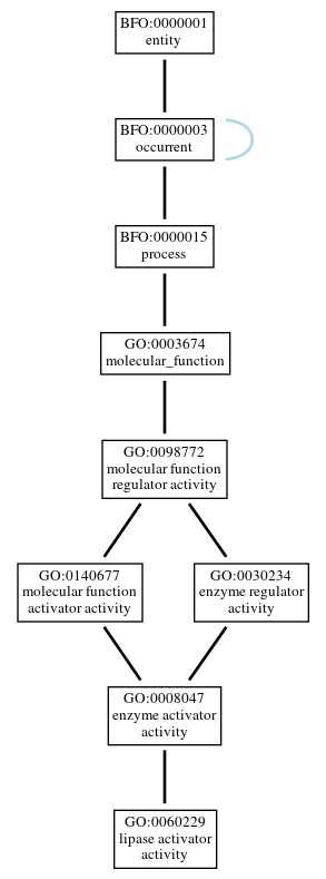 Graph of GO:0060229