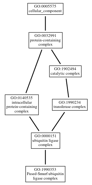 Graph of GO:1990353