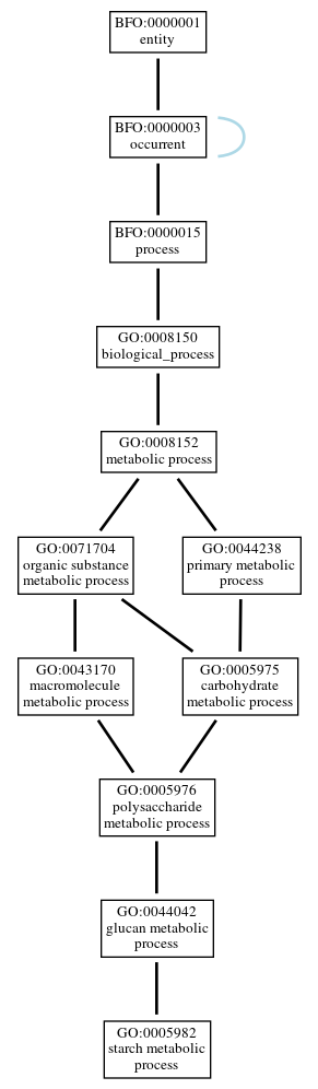 Graph of GO:0005982