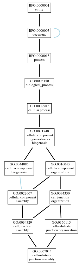 Graph of GO:0007044