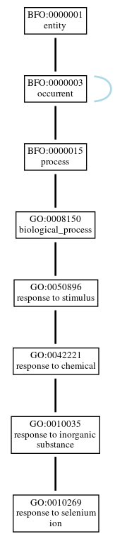 Graph of GO:0010269