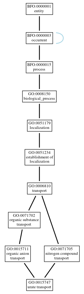 Graph of GO:0015747
