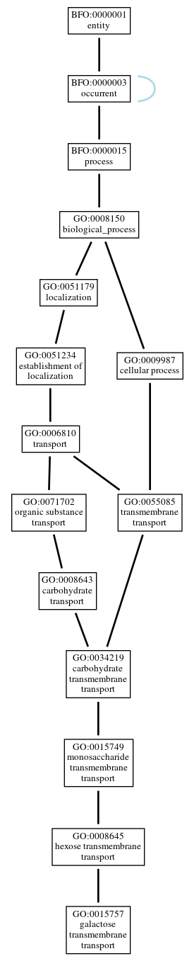 Graph of GO:0015757