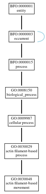 Graph of GO:0030048