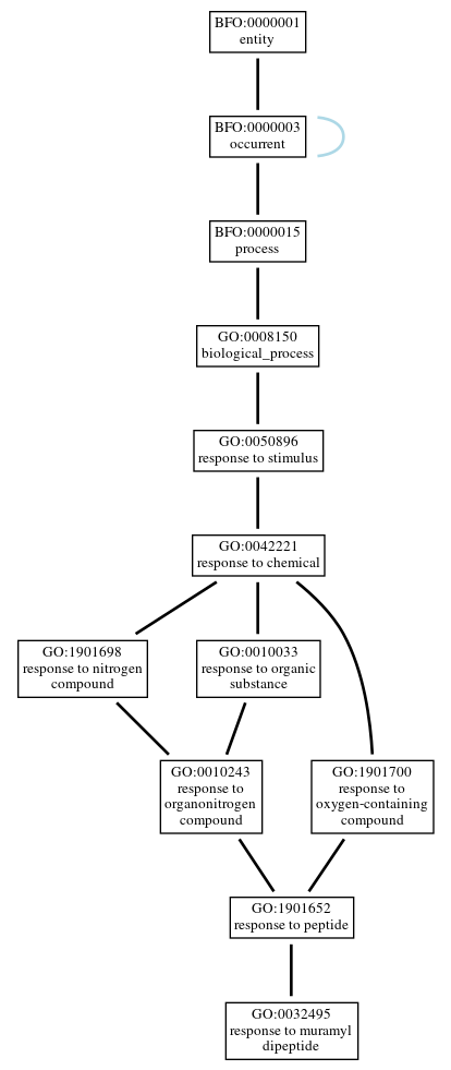 Graph of GO:0032495