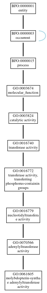Graph of GO:0061605