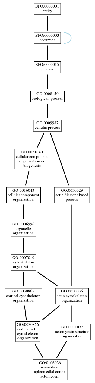 Graph of GO:0106036