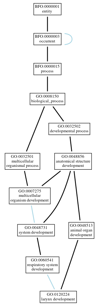 Graph of GO:0120224