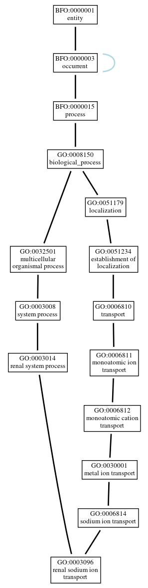 Graph of GO:0003096