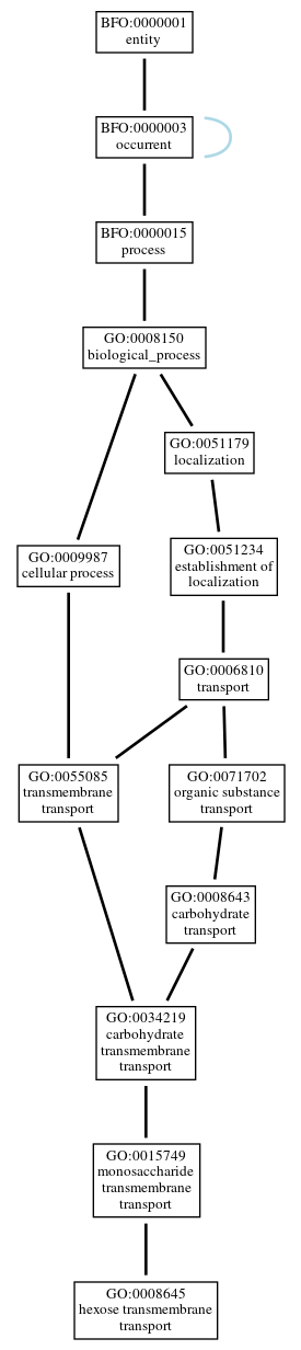 Graph of GO:0008645