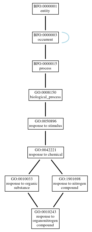Graph of GO:0010243