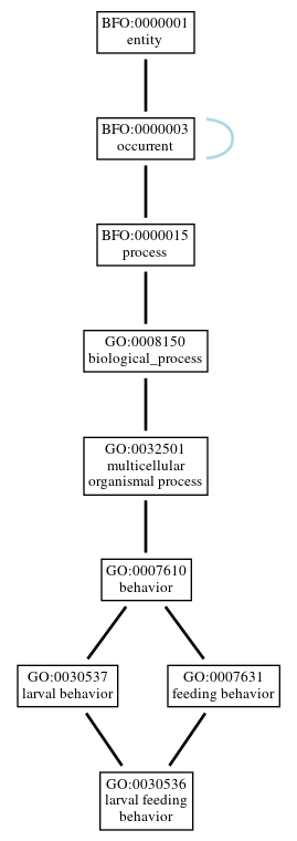 Graph of GO:0030536