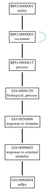 Graph of GO:0060004