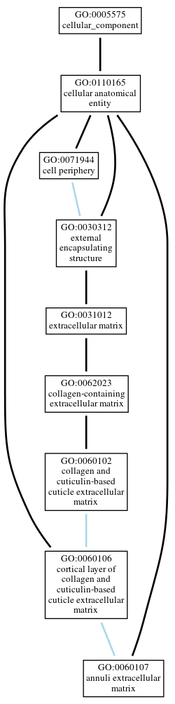 Graph of GO:0060107
