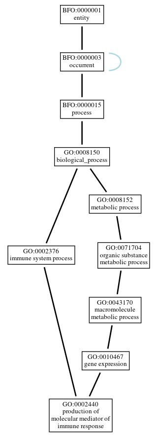 Graph of GO:0002440
