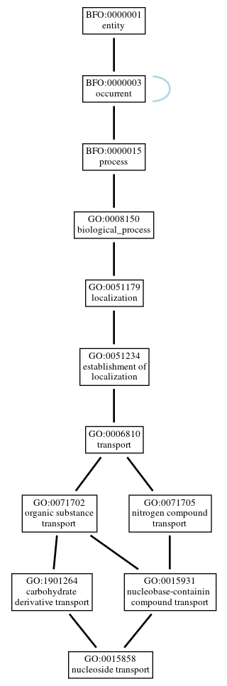 Graph of GO:0015858