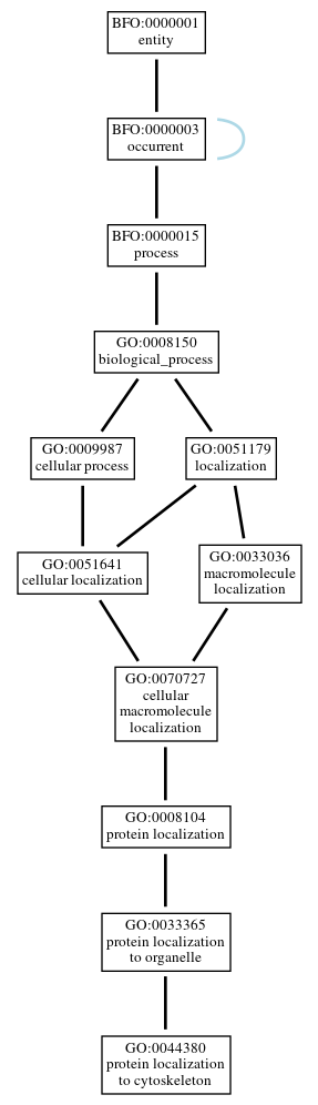 Graph of GO:0044380
