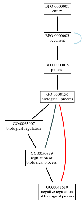 Graph of GO:0048519