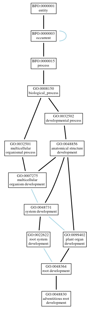 Graph of GO:0048830