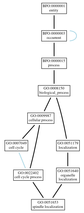 Graph of GO:0051653