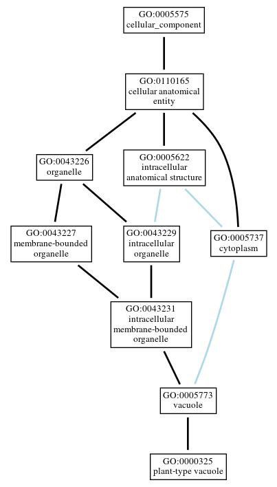 Graph of GO:0000325