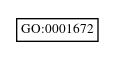 Graph of GO:0001672