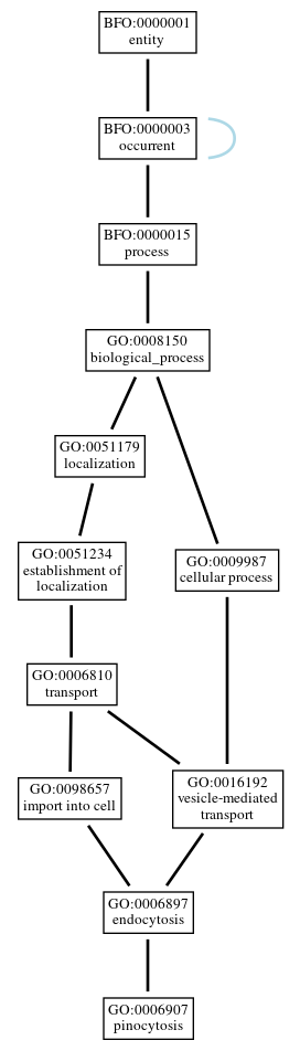 Graph of GO:0006907