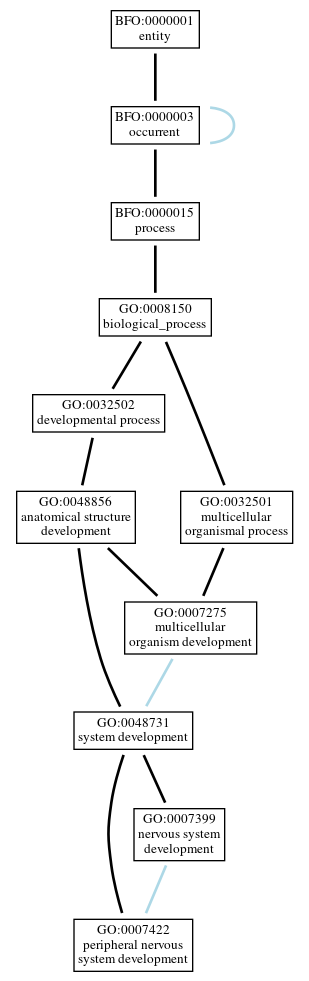 Graph of GO:0007422