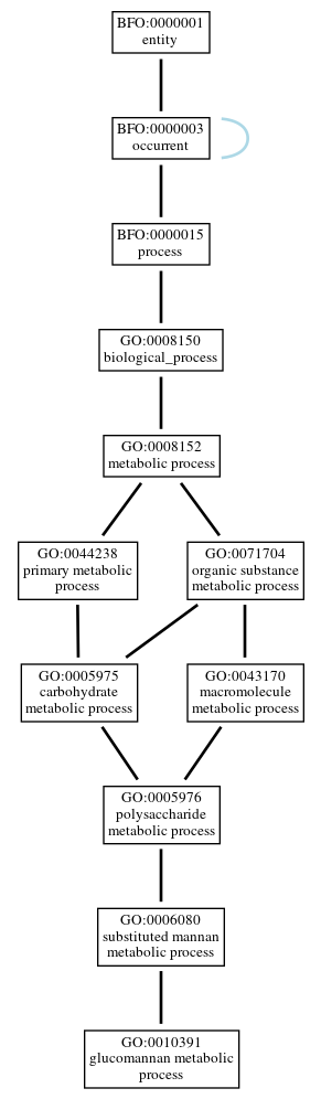 Graph of GO:0010391