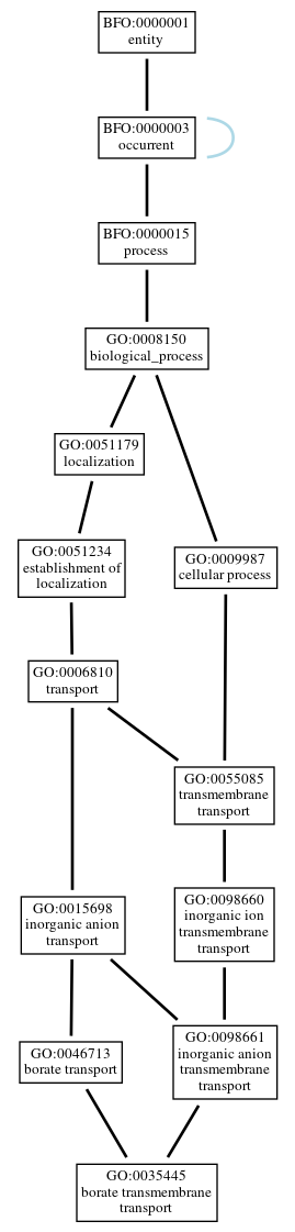 Graph of GO:0035445