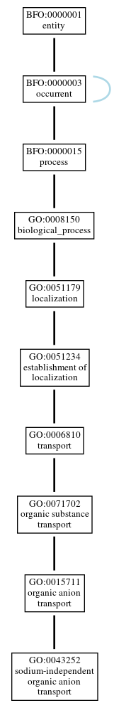 Graph of GO:0043252