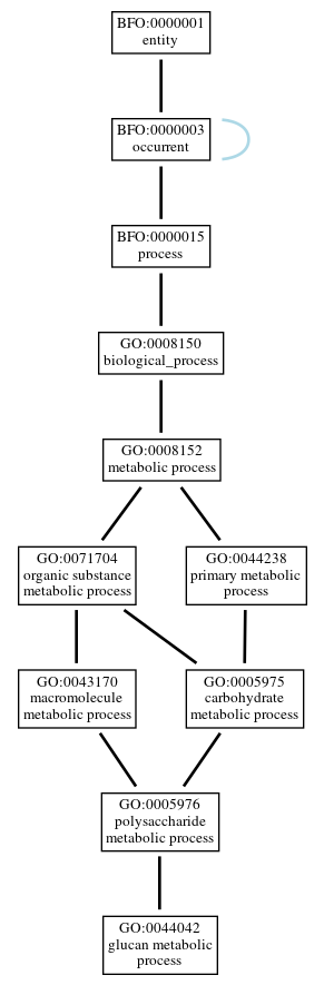 Graph of GO:0044042