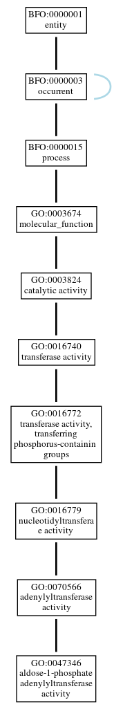 Graph of GO:0047346
