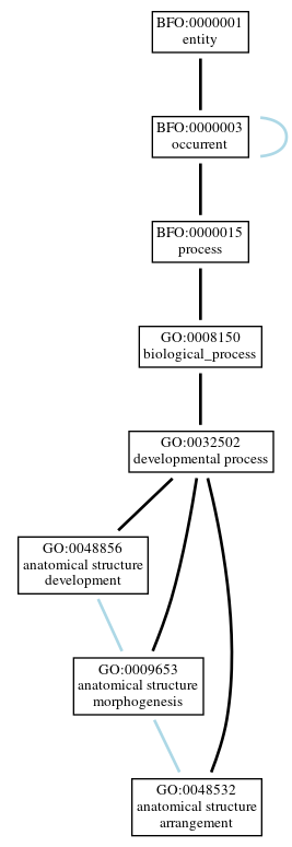 Graph of GO:0048532
