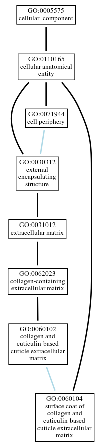 Graph of GO:0060104