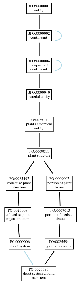 Graph of PO:0025595