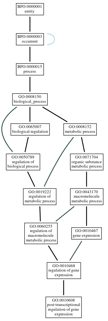 Graph of GO:0010608
