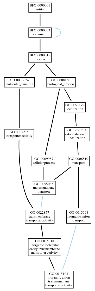 Graph of GO:0015103
